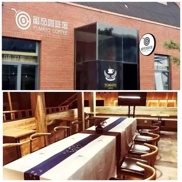 番茄如何赚钱,如何打造一个100亩盈利的农庄