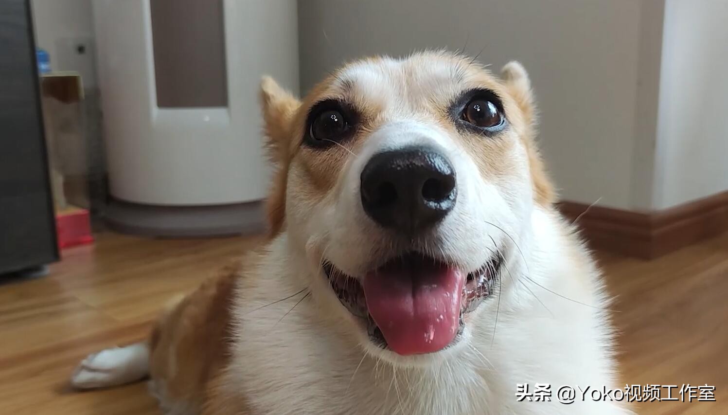 拯救者r7000升级win11更新方法,2020款拯救者r7000改进