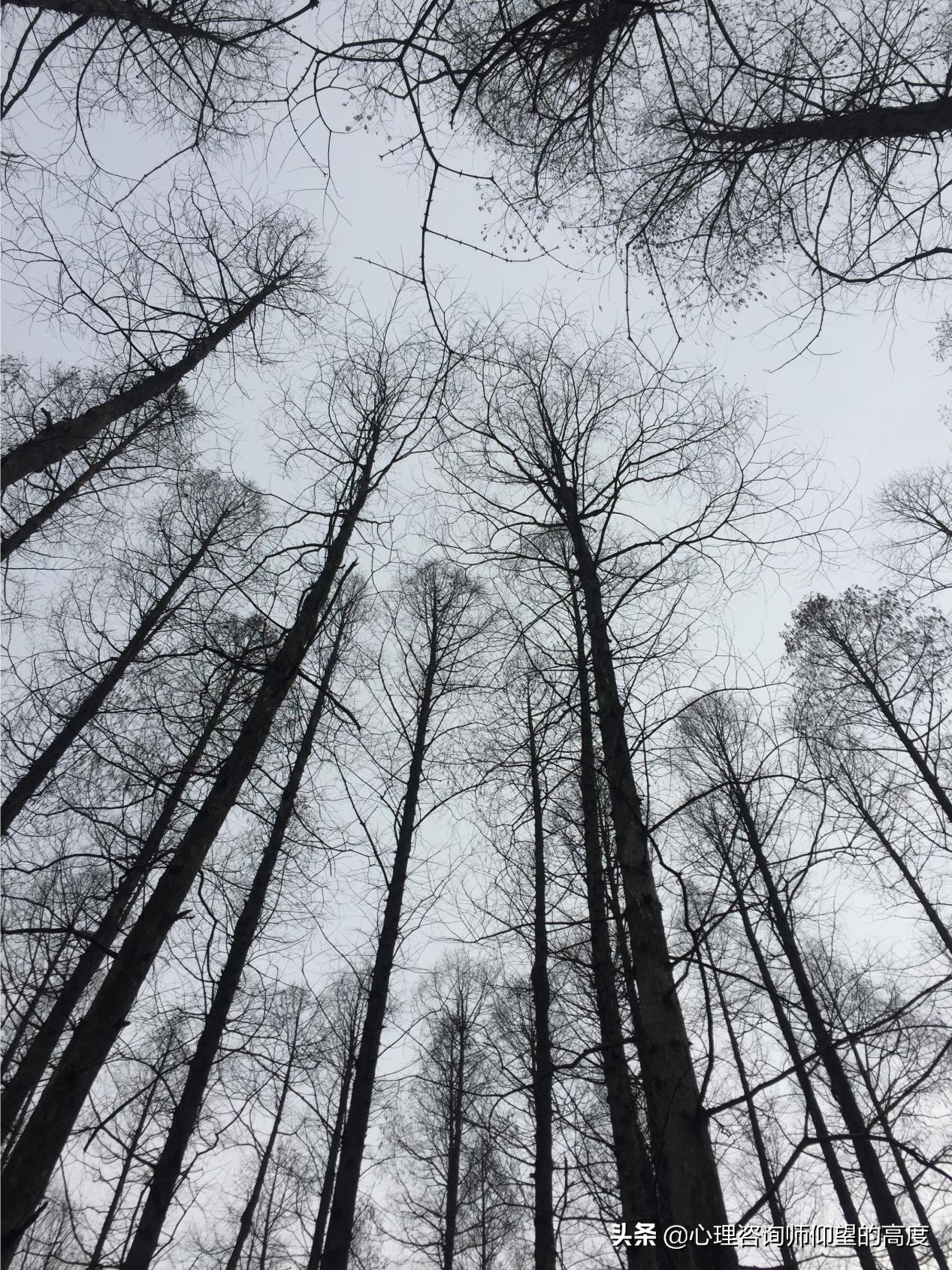 一个有温度的“树洞”,是什么样的?