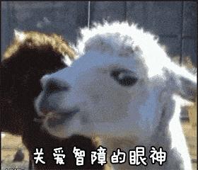 第一次用卫生棉条有异物感,卫生棉条有异物感会掉出来吗