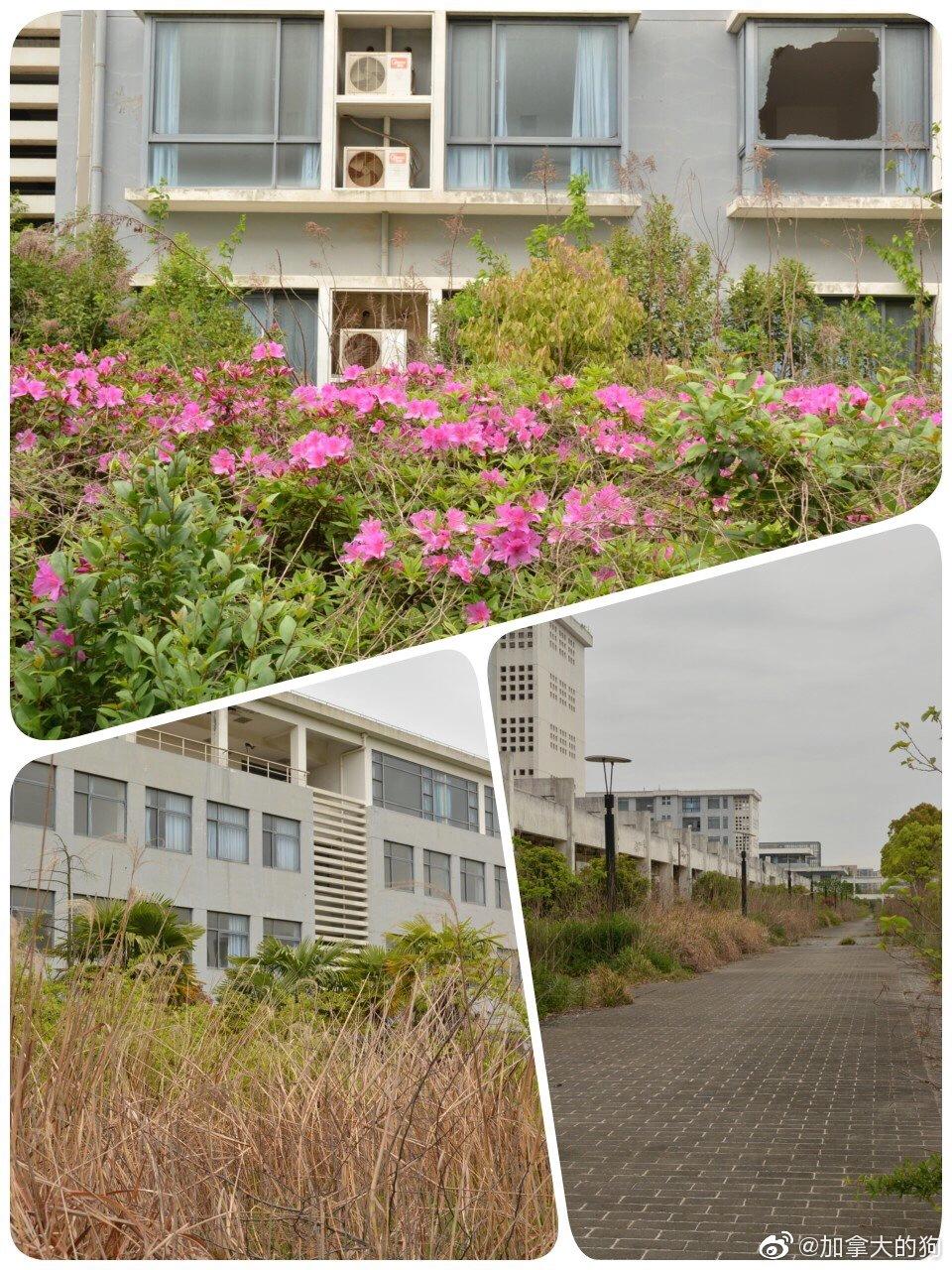 南汇大学城好吗,南汇新城发展较弱的原因