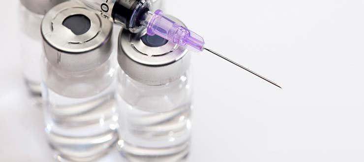 猪高热病怎么处理最好,猪场高热怎么治