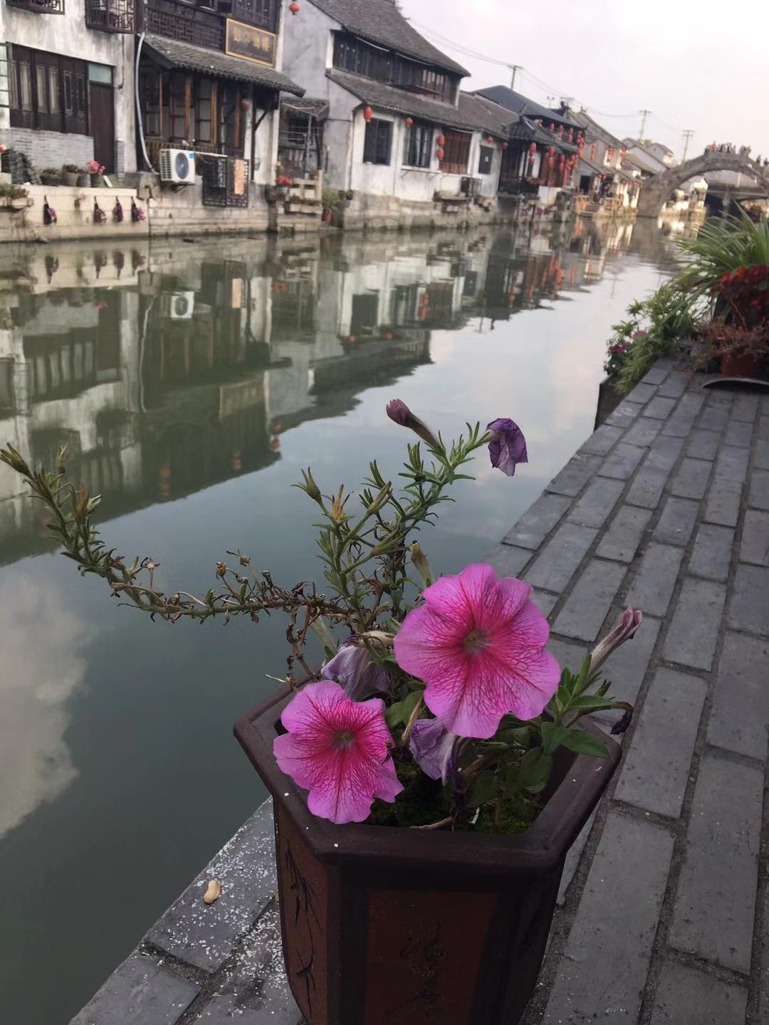 枫泾到西塘最佳时间表,夜晚的枫泾