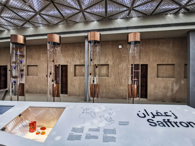 从天空到海洋到大地的视频,从天空到海底绘本