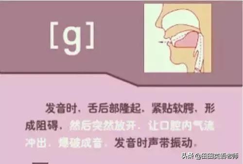 基础英语48个国际音标详解，赶紧来学习！