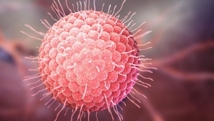 什么容易被误诊为带状疱疹,带状疱疹容易误诊吗