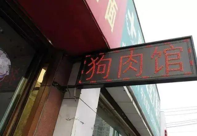 禁食狗肉立法离谱吗,为什么不立法禁止吃狗肉