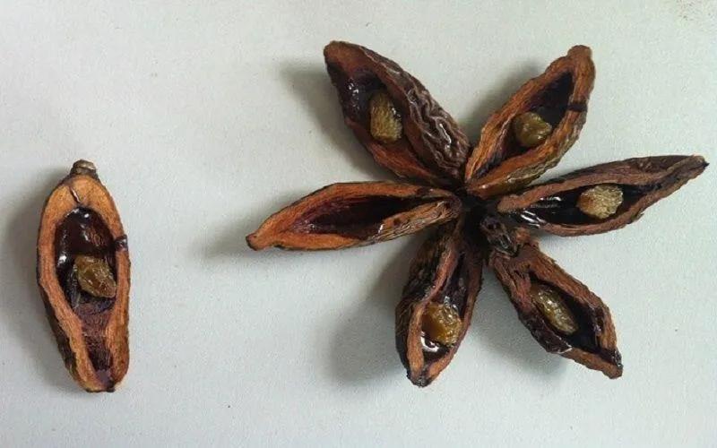 吃槟榔犯病是什么情况,吃槟榔脏器衰竭