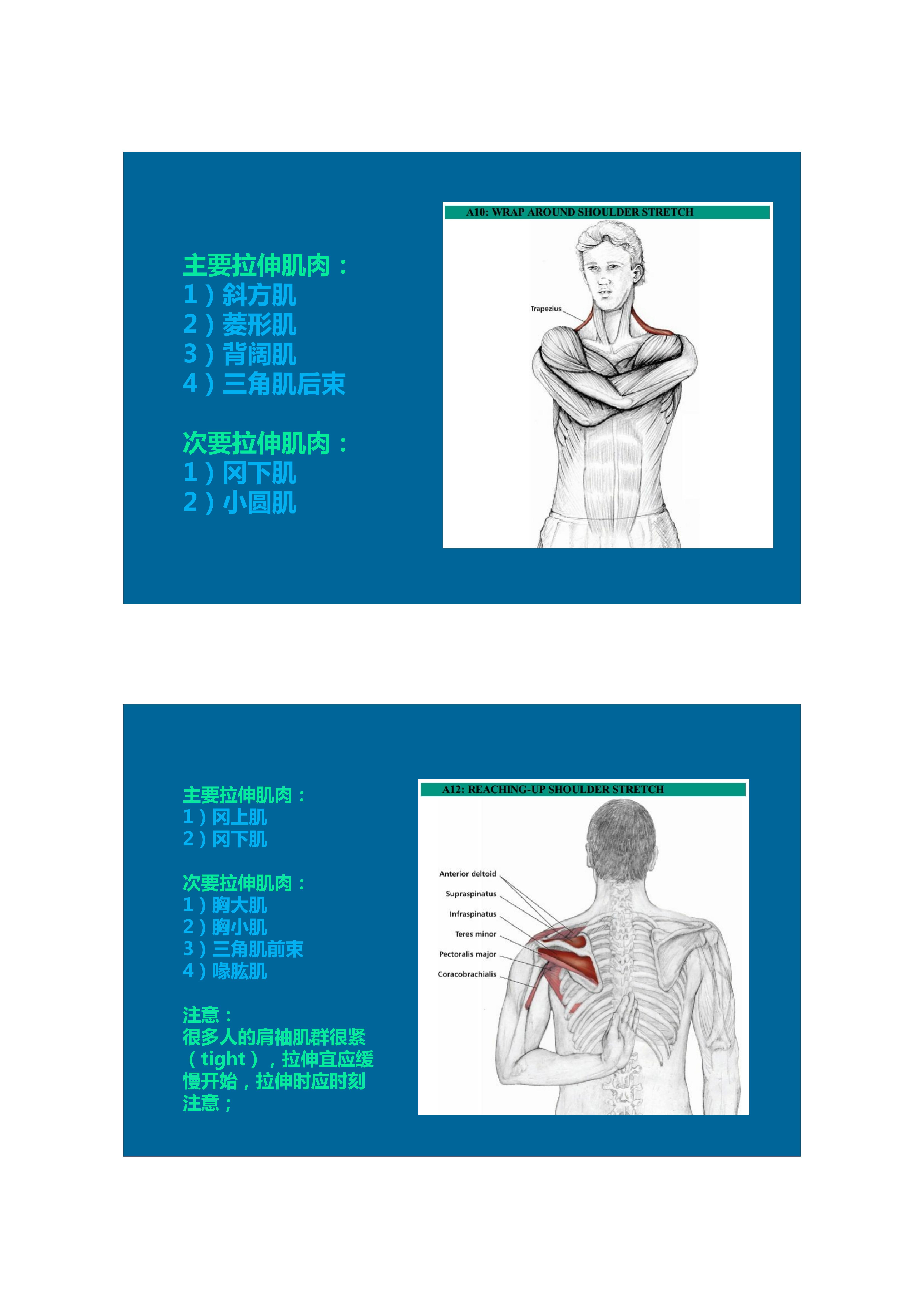 拉伸动态块制作技巧,泰式后背拉伸技巧视频