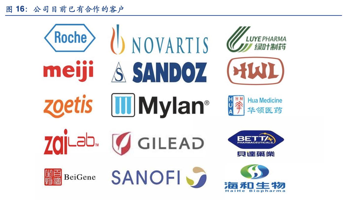 九洲药业能成cdmo龙头吗,九洲药业cdmo业务是怎么做的