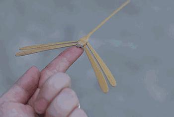 时雨日文发音,时雨日文