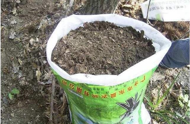 绣球换盆用营养土需要加田园土吗,墨兰换盆用营养土和菜园土可以吗