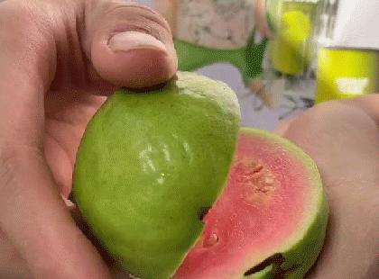 软糯香甜广西现摘红心芭乐,又脆又甜不带色的红心芭乐好吃