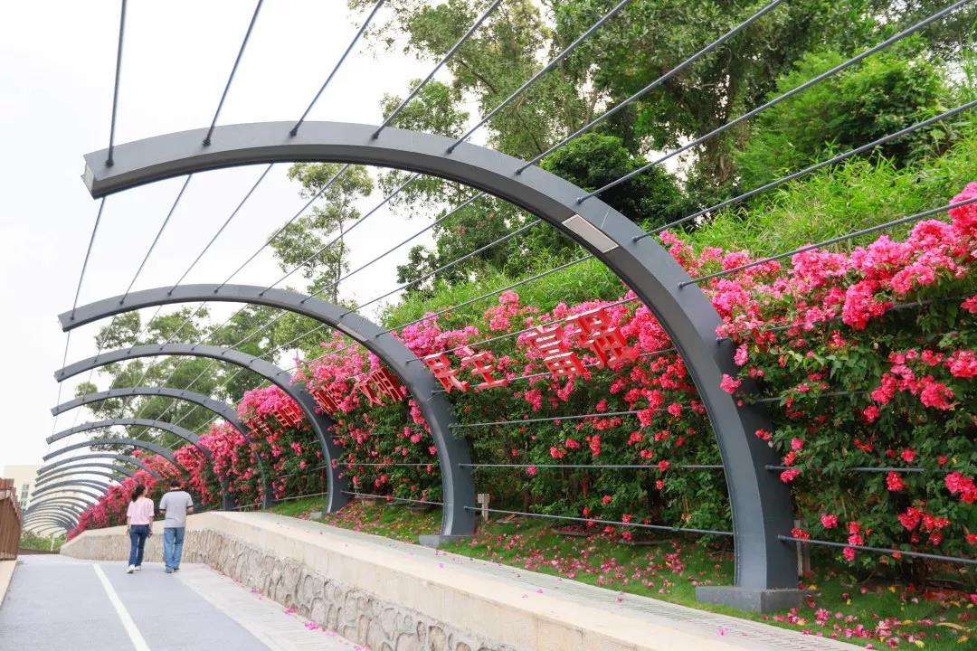 深圳遛娃必去景点免费过年,深圳适合儿童游玩的公园