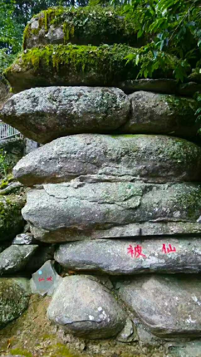 鬼斧神工崖柏,鬼斧神工刺青工作室