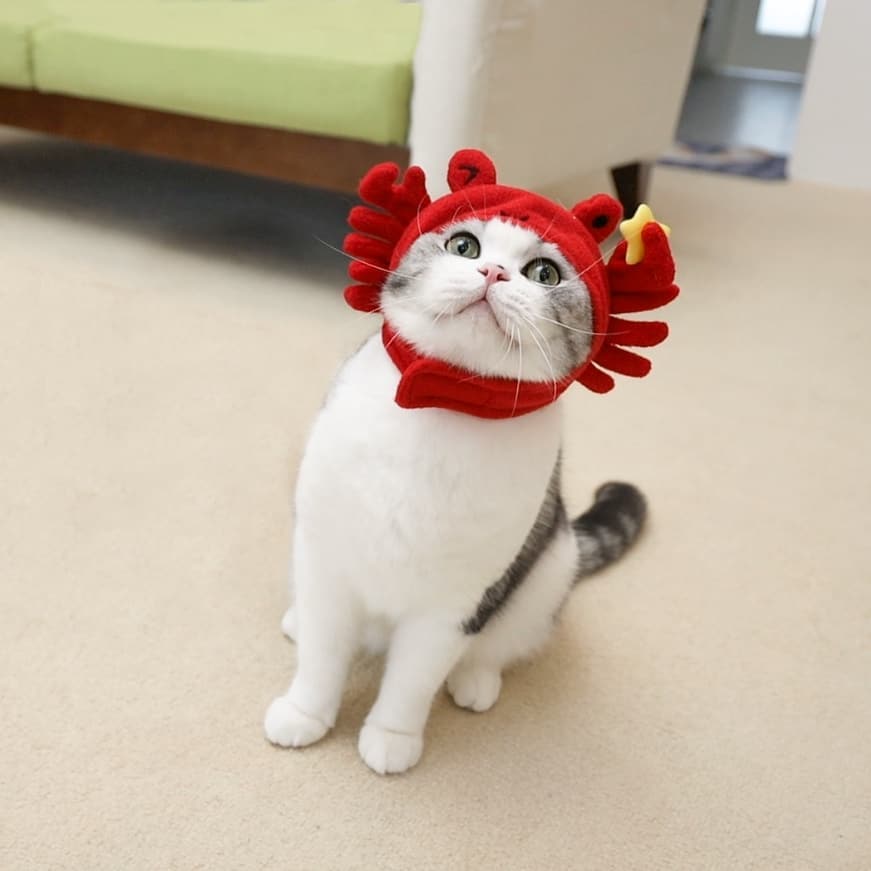 养宠物人得了寄生虫,养宠物人得皮肤病