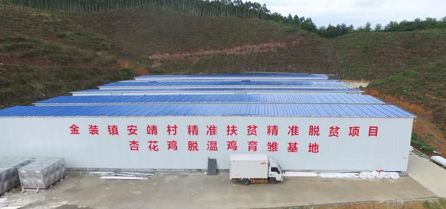 年收入翻了8倍多！肇庆这条村是怎么做到的？