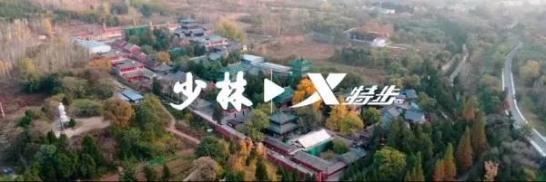 特步国潮系列 (特步国潮官方旗舰店)