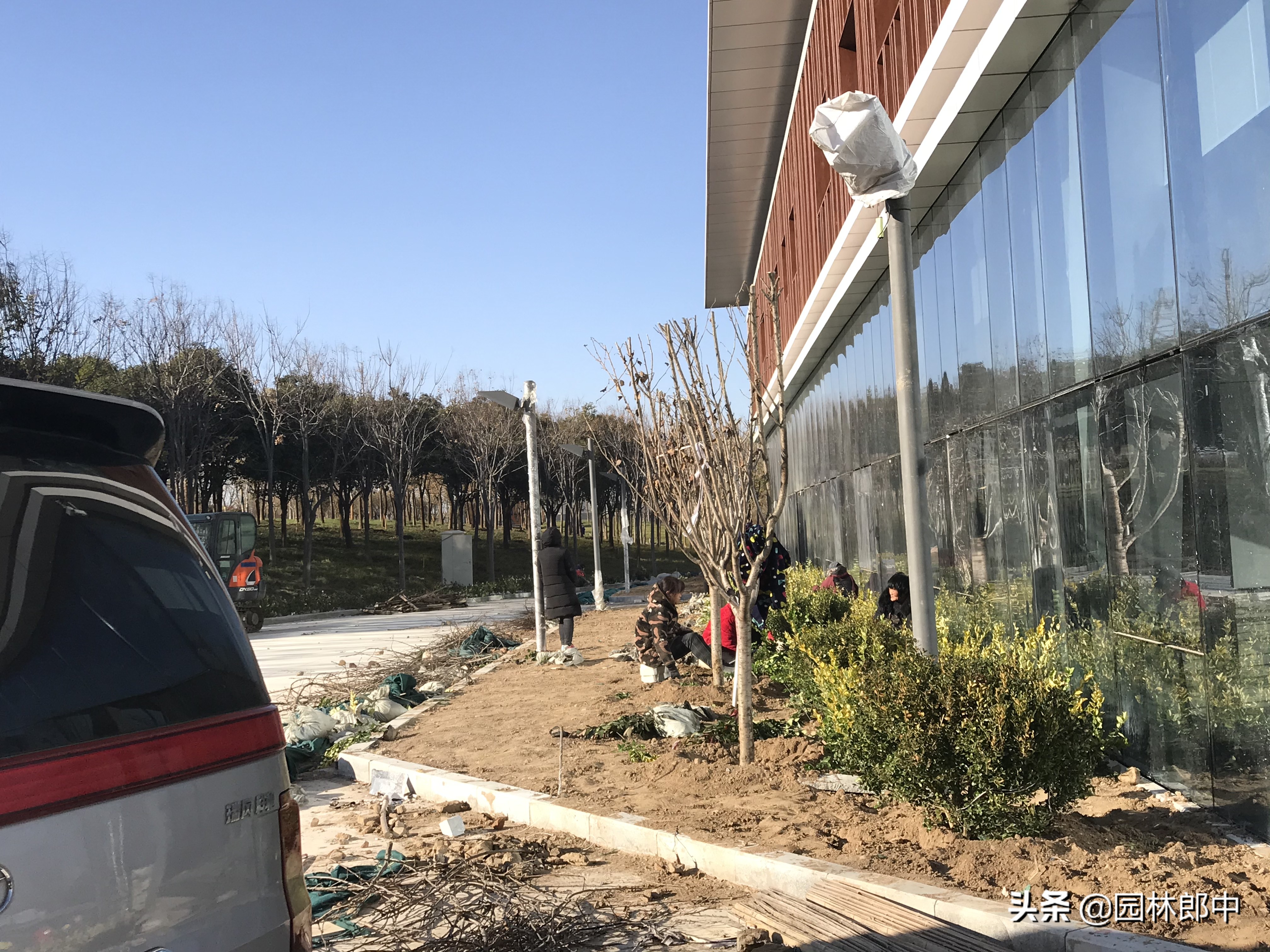 打绿篱的除草药,清除杂草什么除草剂比较有效呢