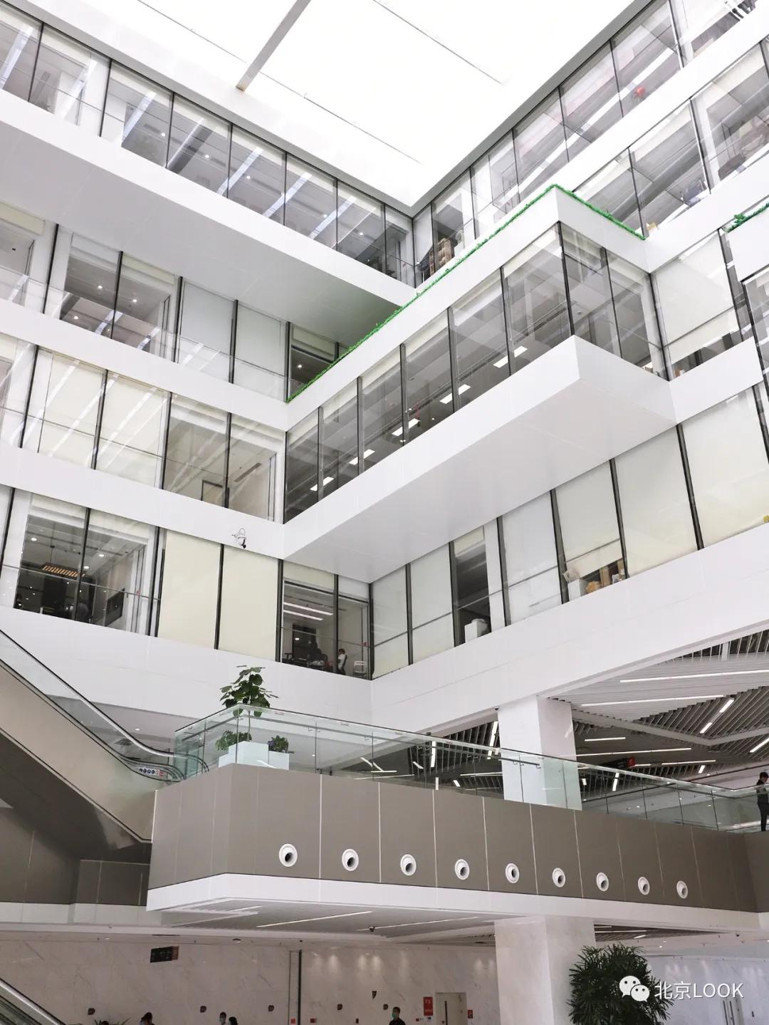 别人家的公司,别人家的公司还招人吗