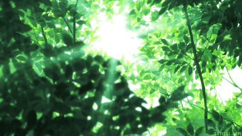 为何蚊子只咬你看完就明白了,蚊子咬人为什么越来越狠