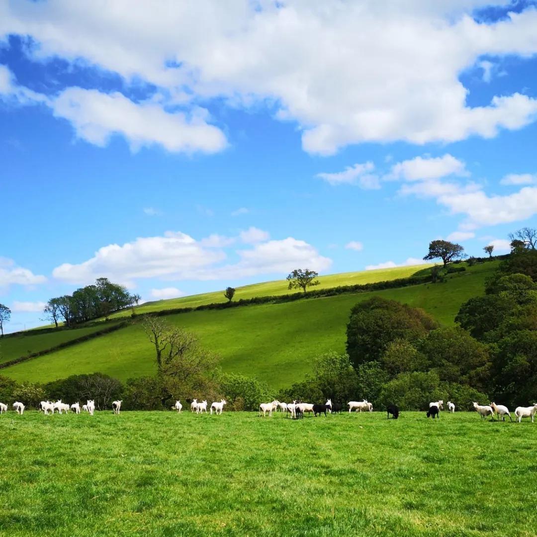 疫情下的旅行地点推荐,疫情下的欧洲旅游攻略