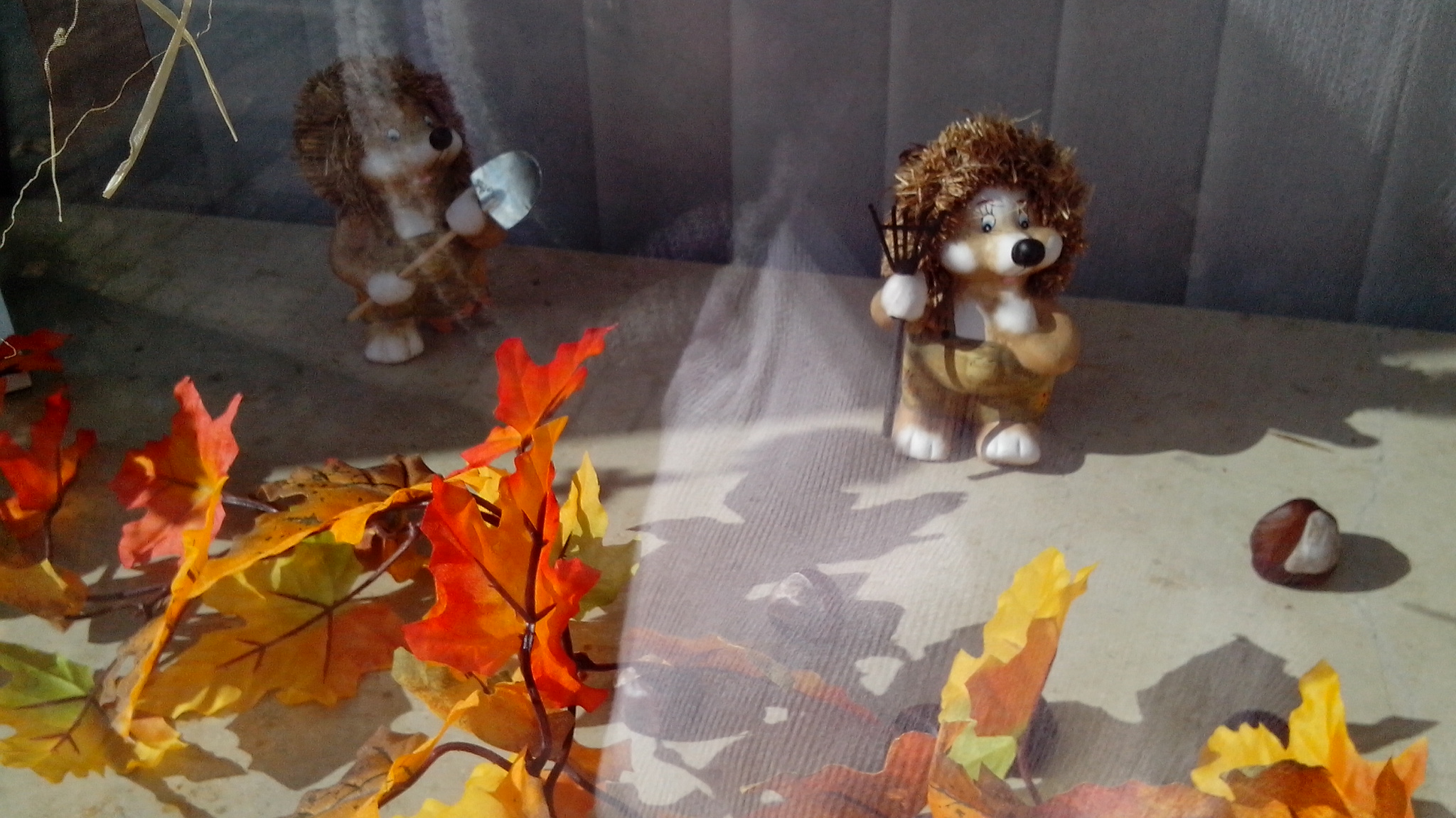 德国男人的真正面目,德国男人严谨的习惯