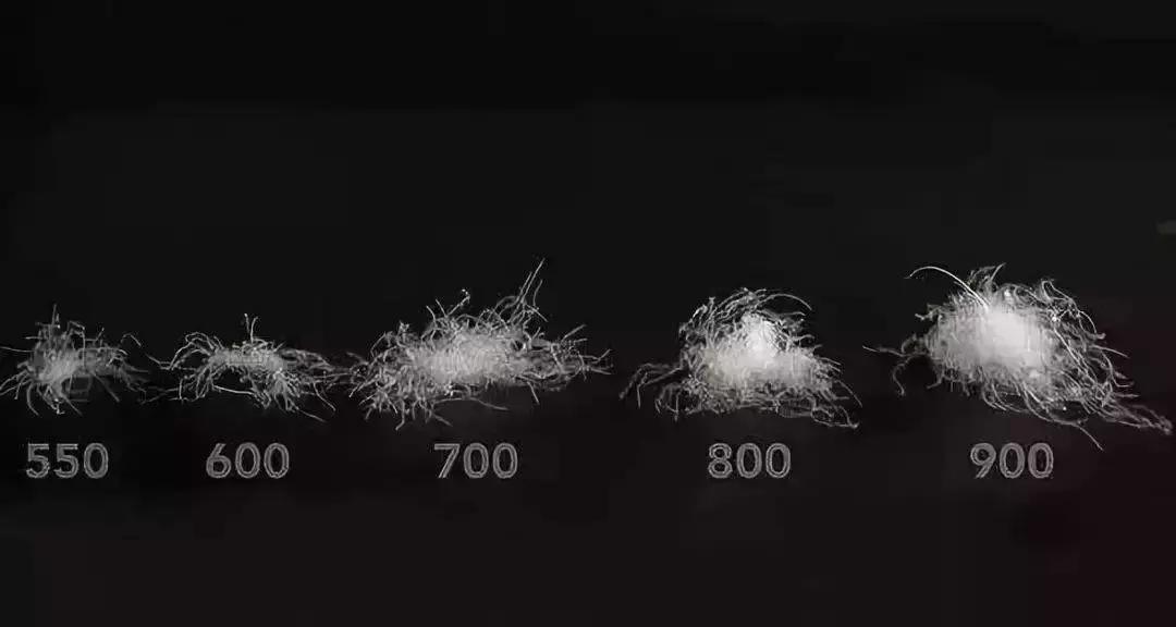 买羽绒服哪里比较好一点,哪里买羽绒服好一点