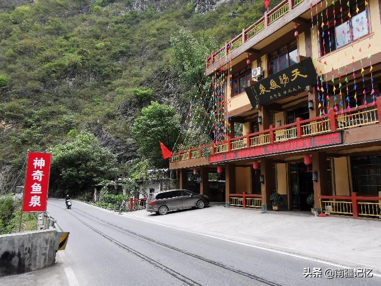 老汉做梦挖出鱼完整版,老汉梦到有人挖鱼泉