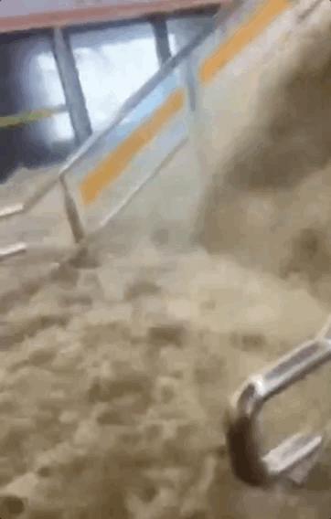 郑州的真实情况,河南郑州真实视频