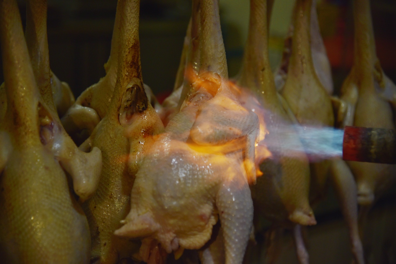 椒麻鸡开店创业,鹤壁豫哥麻椒鸡加盟要多少钱