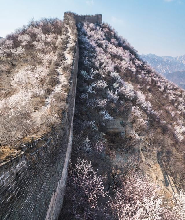 到了京郊这些花开四溢的“仙境”，您简直可以把日子过成诗！