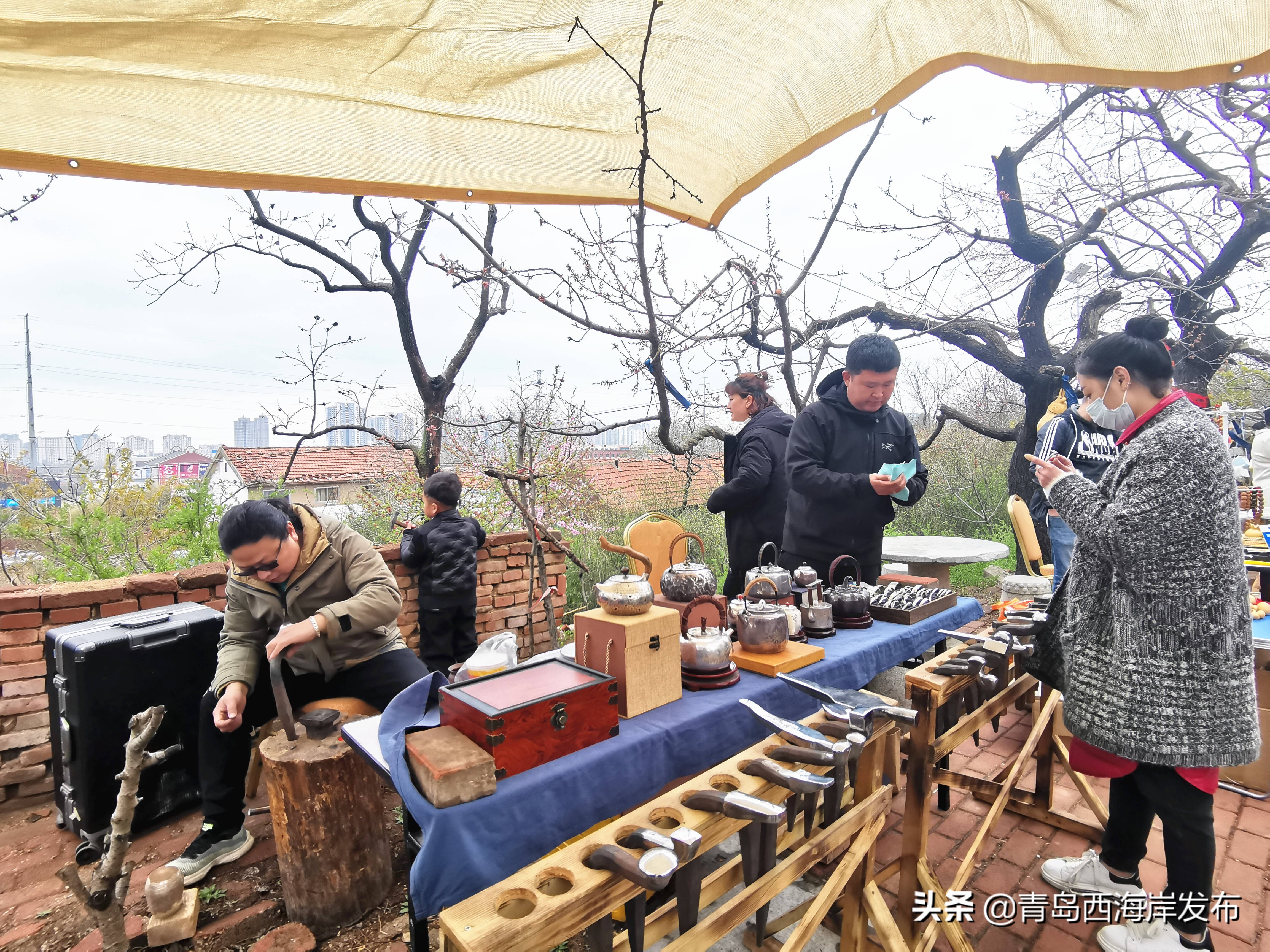 灵山卫街道乡村振兴,灵山村庄的种子