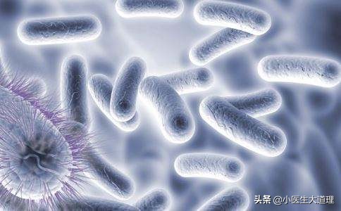 头癣是念珠球菌感染么,头癣是毛囊炎吗