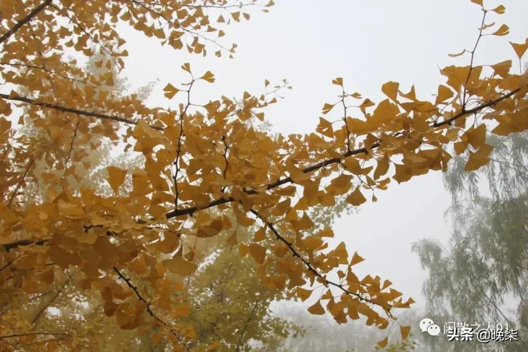 庄河步云山温泉,庄河步云山大雨