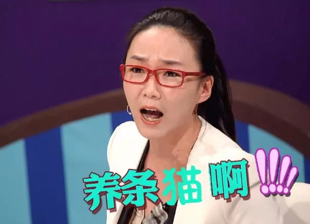 养猫包包,养猫保健药