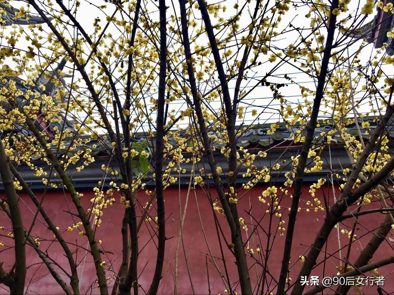 成都是一座古老而年轻的文化古城,成都历史文化老街