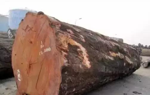 一颗重达几十吨的巴西花梨切开后像千层雪糕