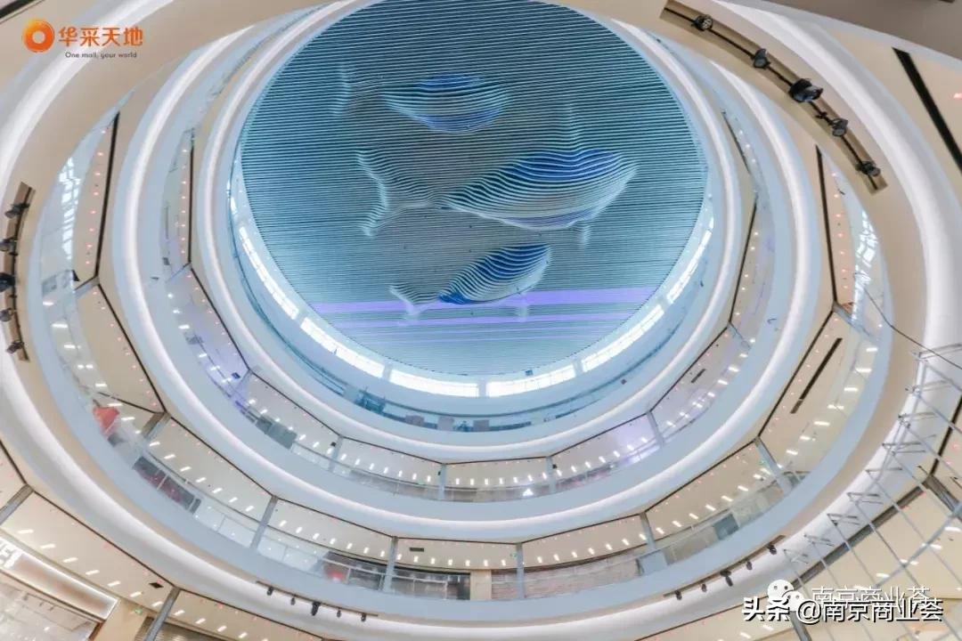 南京华采天地经营情况,南京华采天地开业