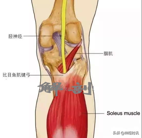 病理脚麻的最快恢复方法,脚麻诊断思路