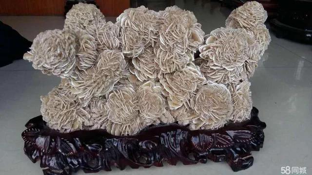 为什么沙漠的石头一定要捡,行走在沙漠为什么看到石头就要捡