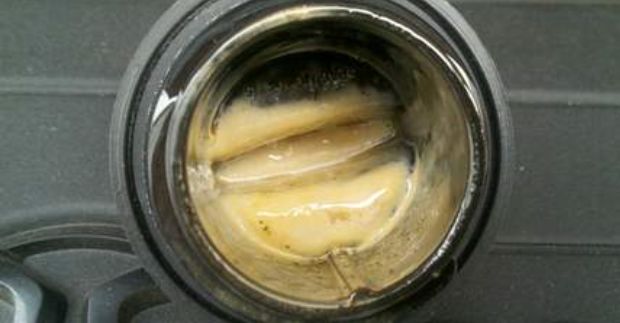 老鼠告诉你买二手车,二手车哪几款发动机可靠