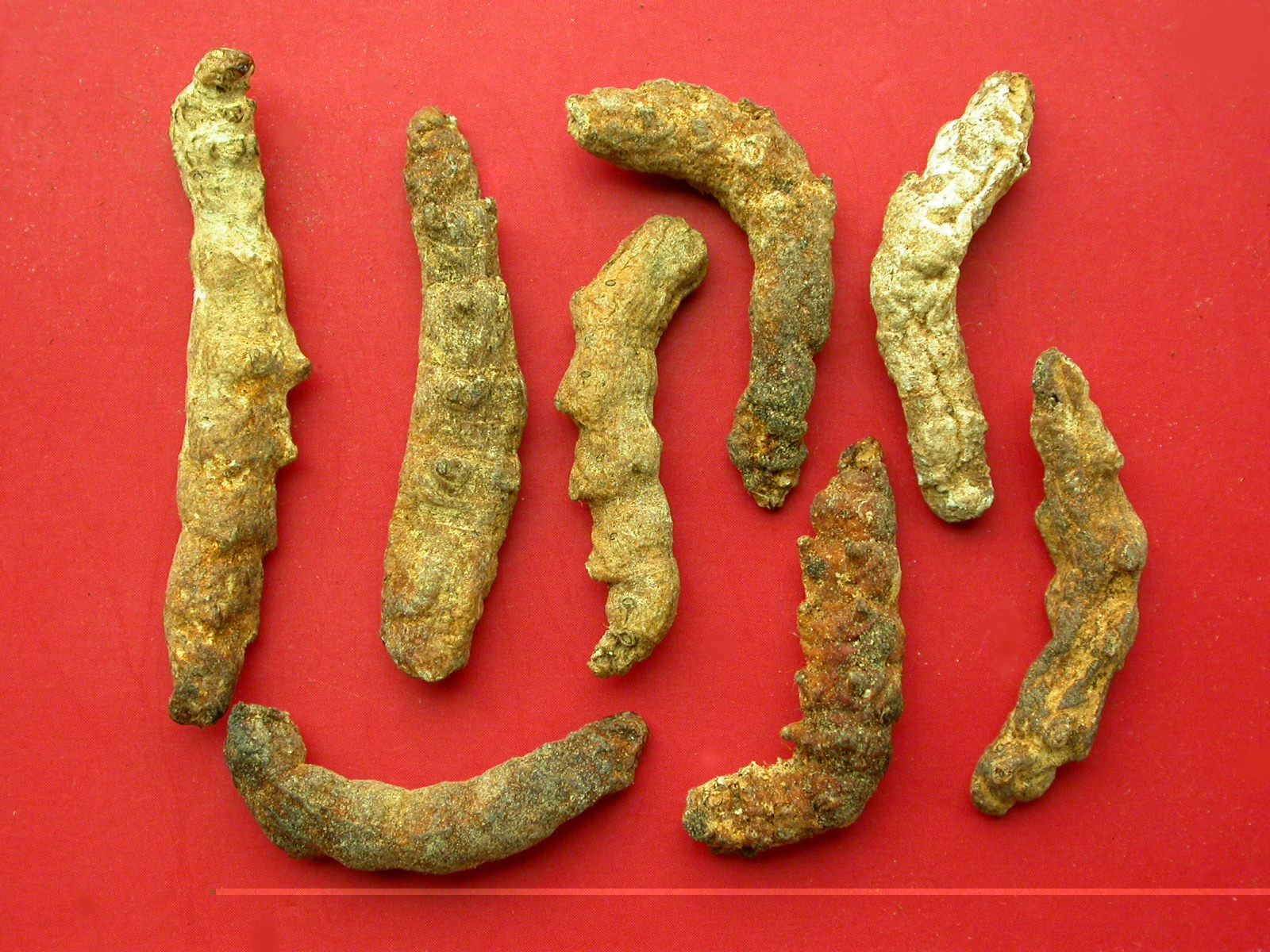 国医薛伯寿视频,薛伯寿谈清肺解毒汤