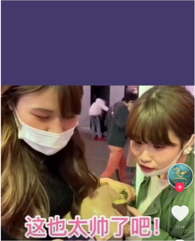 丁真火到海外,丁真火到国外