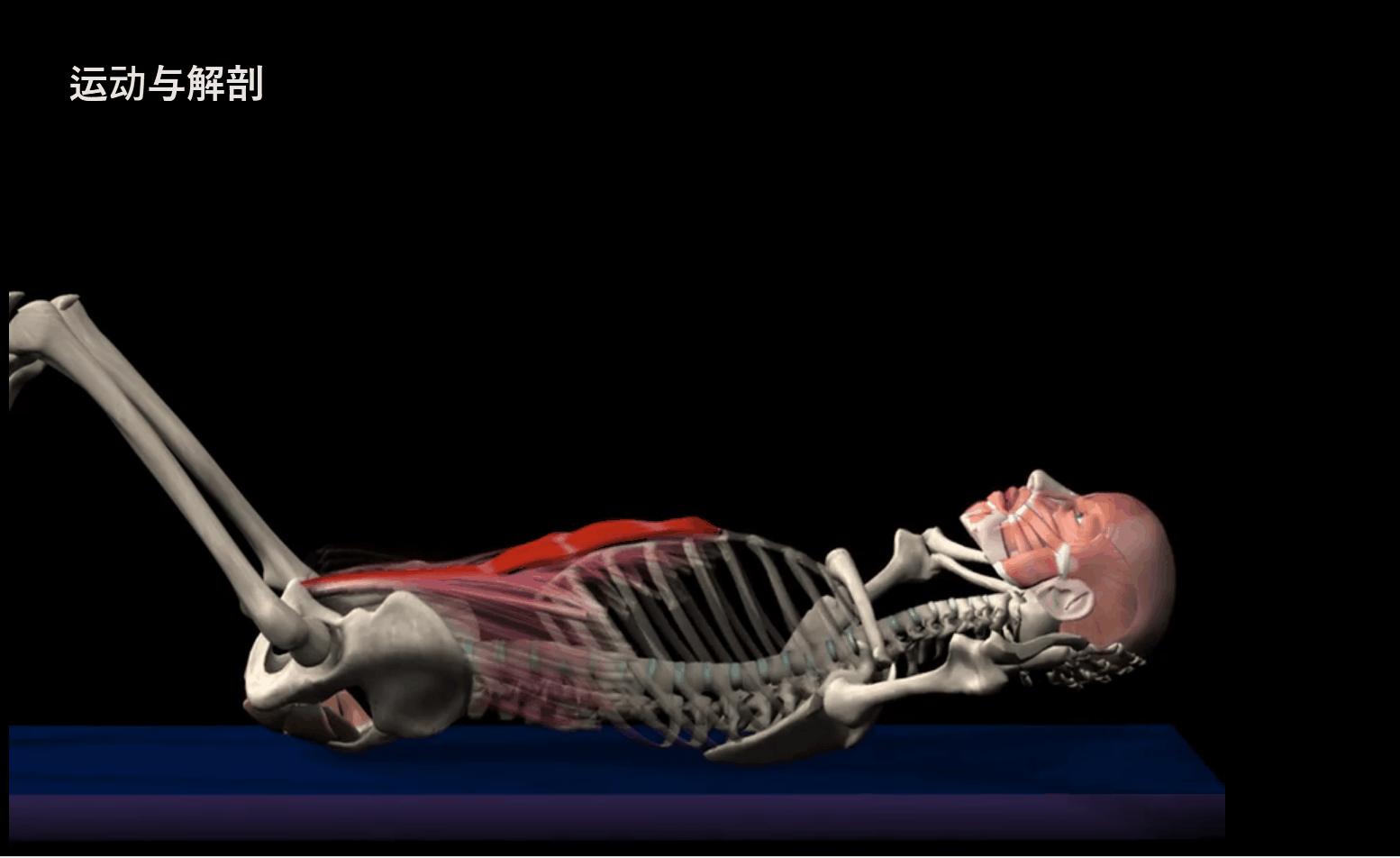 给大家示范一下练腹肌最好办法,又快又有效又简单的腹肌怎么练