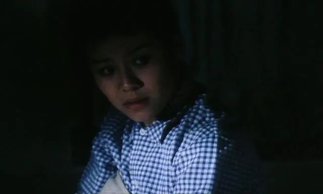 李冰冰警察电影老片子,李冰冰国产电影