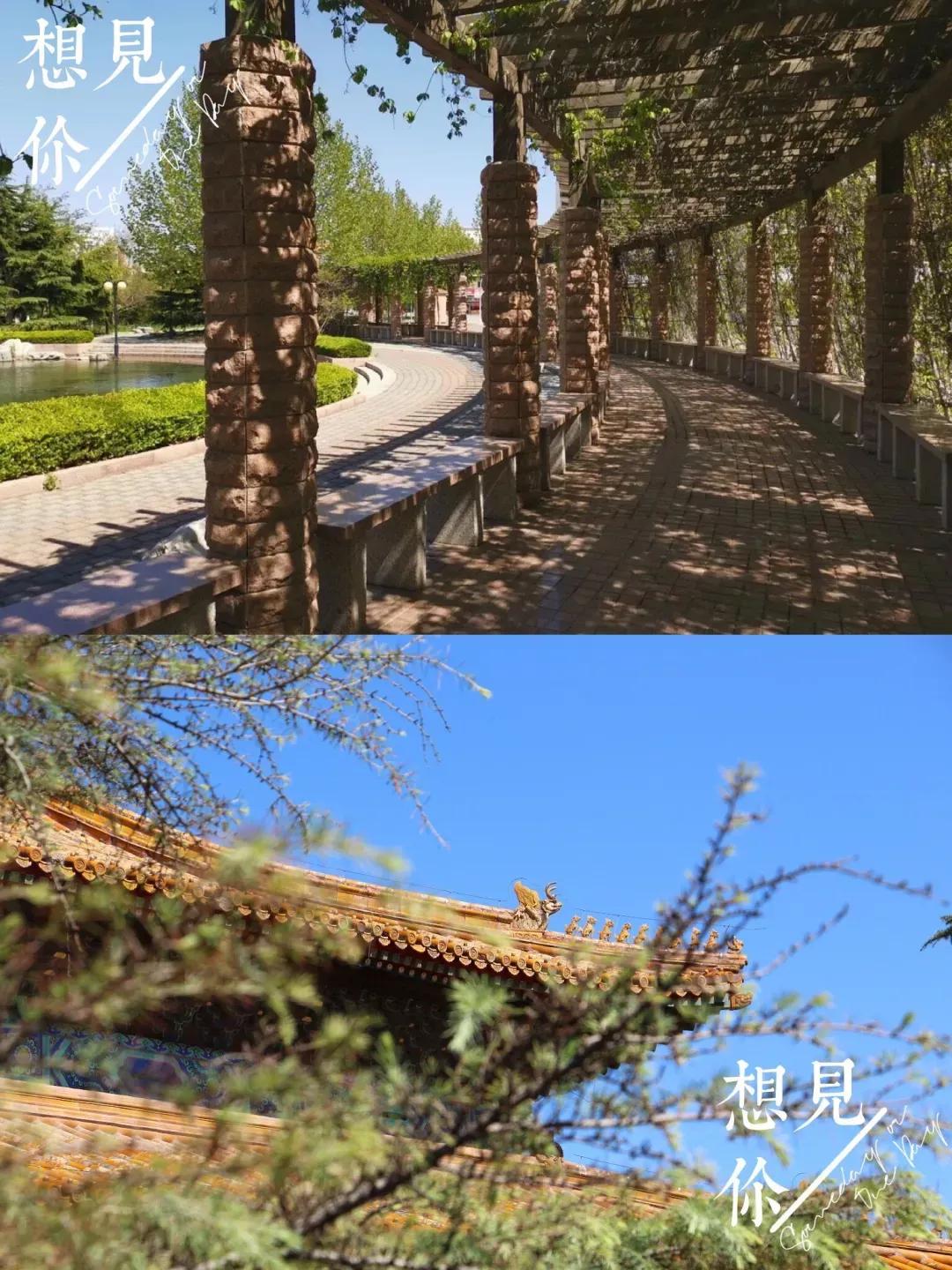 南开大学滨海学院天津排名,天津曾经的滨海学院