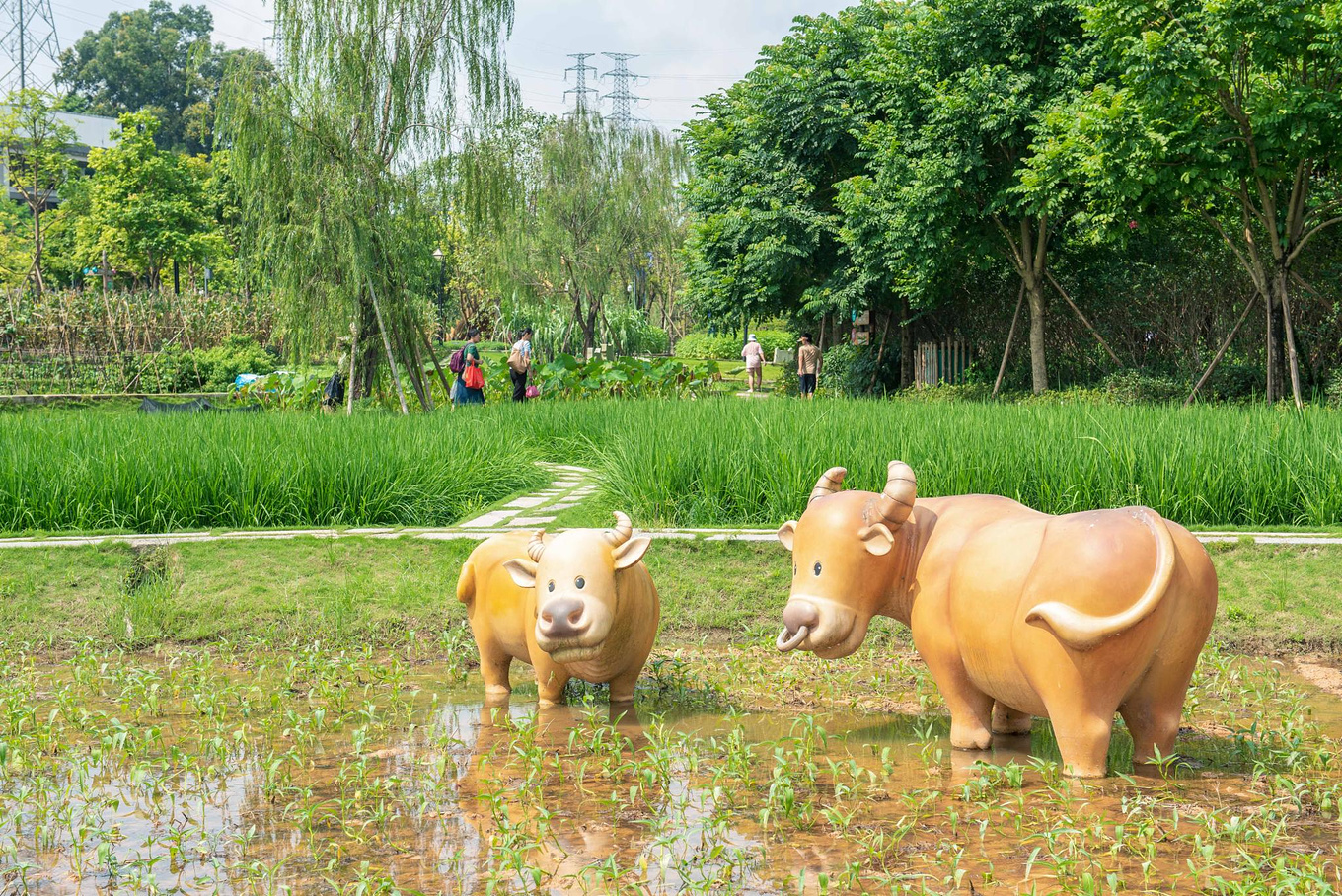 深圳客家甘坑小镇元宵游玩时间,深圳甘坑小镇客家文化