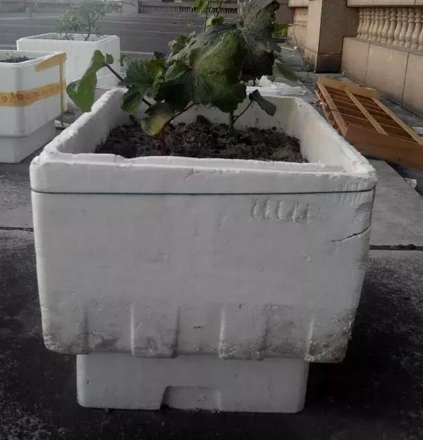 室内养花种菜工具箱,用泡沫箱可以做厨余垃圾堆肥水吗
