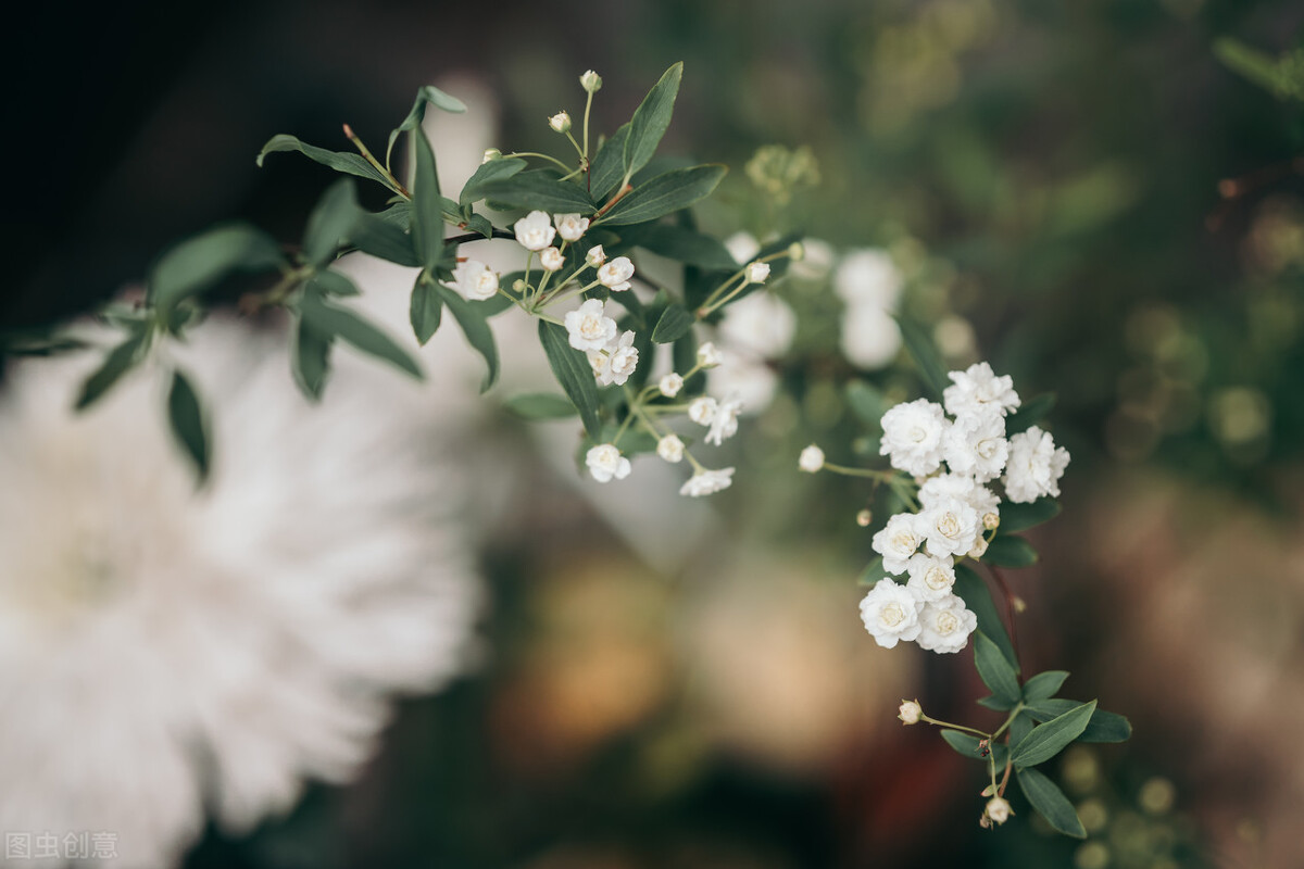 当金牛座惹我生气时我该怎么办,金牛座不想跟你继续相处的表现